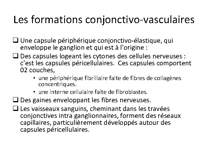 Les formations conjonctivo-vasculaires q Une capsule périphérique conjonctivo-élastique, qui enveloppe le ganglion et qui