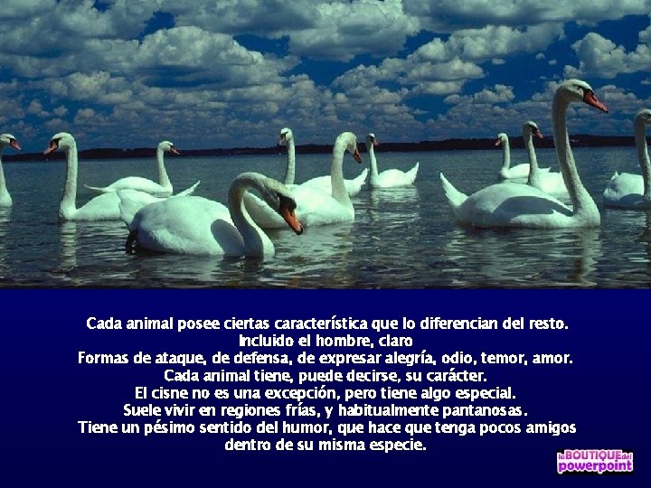 Cada animal posee ciertas característica que lo diferencian del resto. Incluido el hombre, claro