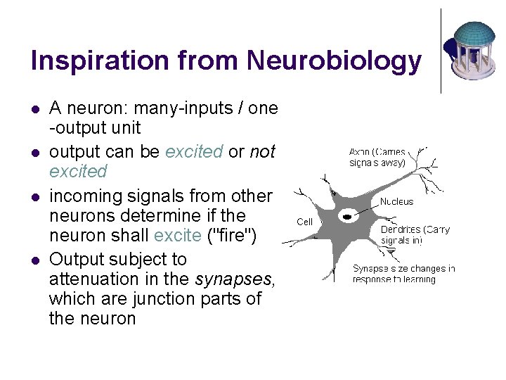 Inspiration from Neurobiology l l A neuron: many-inputs / one -output unit output can