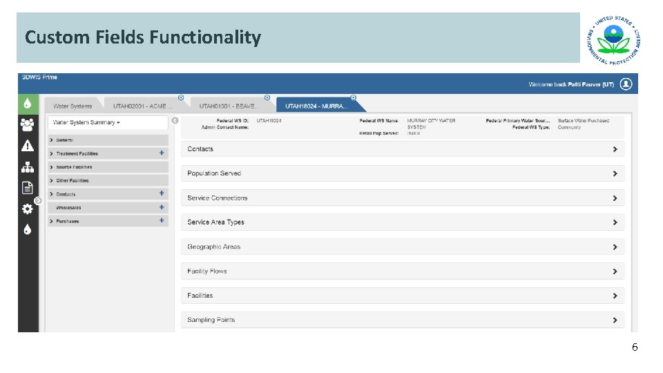 Custom Fields Functionality 6 Custom Fields Functionality 6