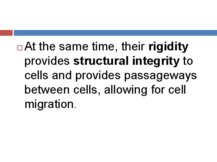  At the same time, their rigidity provides structural integrity to cells and provides