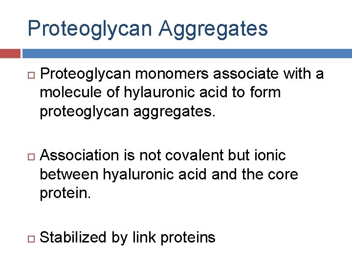 Proteoglycan Aggregates Proteoglycan monomers associate with a molecule of hylauronic acid to form proteoglycan