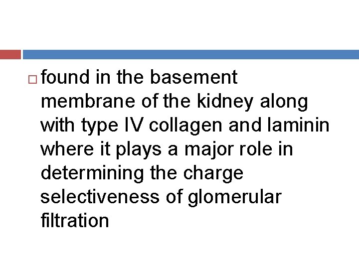  found in the basement membrane of the kidney along with type IV collagen