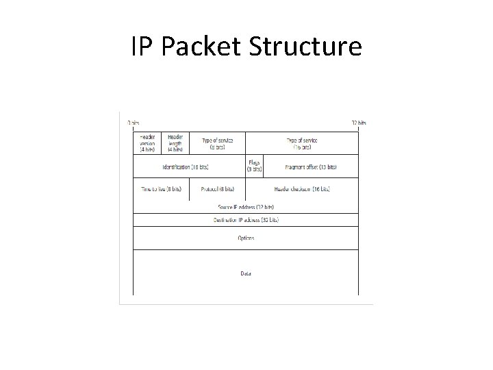 IP Packet Structure 