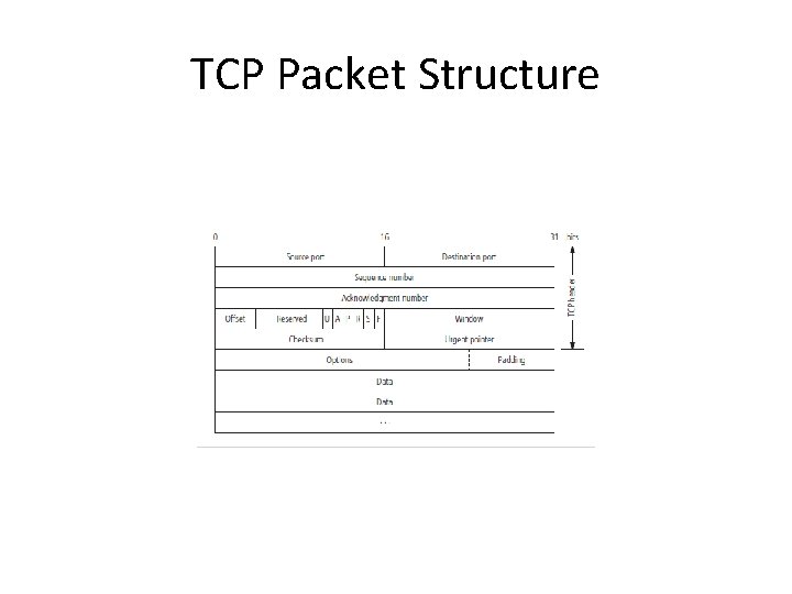 TCP Packet Structure 