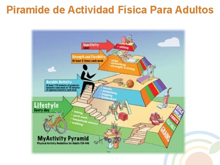 Piramide de Actividad Física Para Adultos 