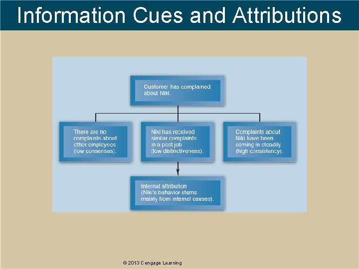 Information Cues and Attributions © 2013 Cengage Learning 