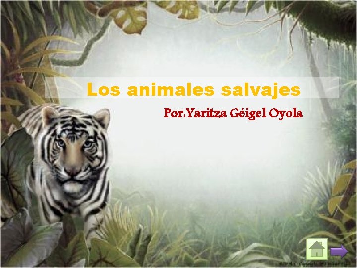 Los animales salvajes Por: Yaritza Géigel Oyola 