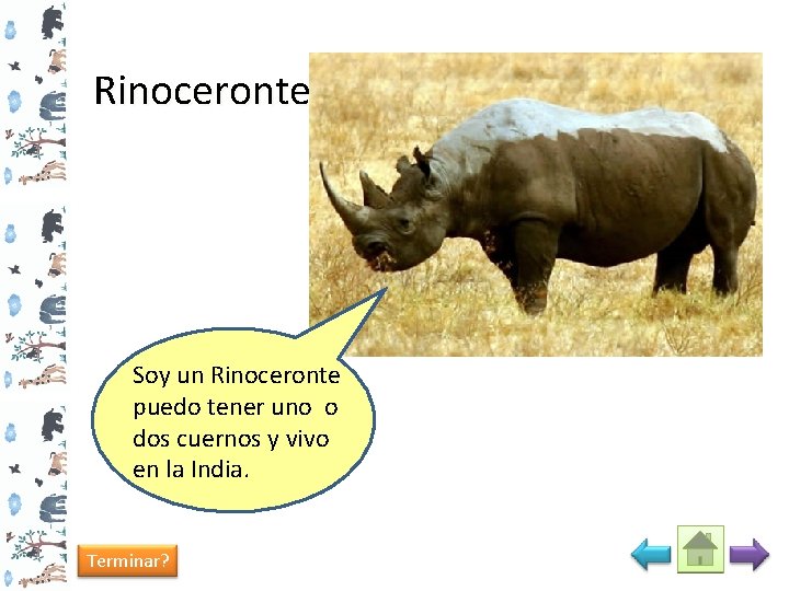 Rinoceronte Soy un Rinoceronte puedo tener uno o dos cuernos y vivo en la