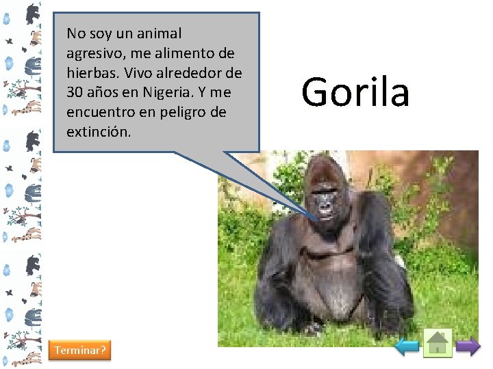 No soy un animal agresivo, me alimento de hierbas. Vivo alrededor de 30 años