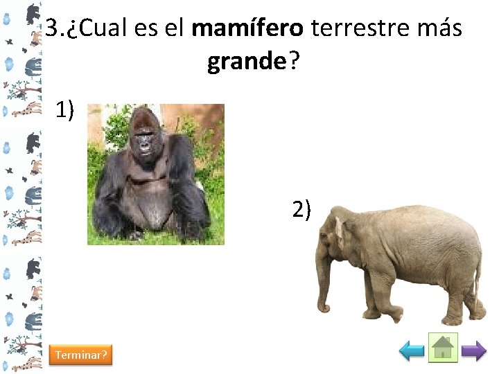 3. ¿Cual es el mamífero terrestre más grande? 1) 2) Terminar? 