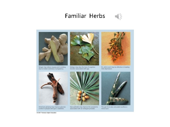 Familiar Herbs 