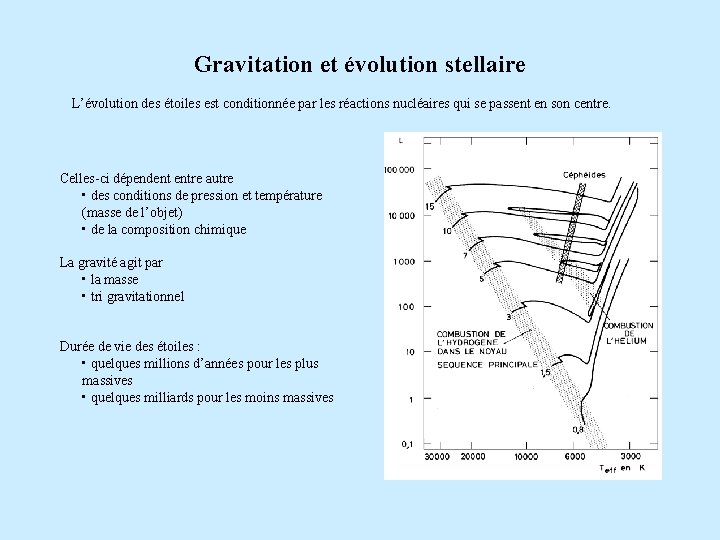 Gravitation et évolution stellaire L’évolution des étoiles est conditionnée par les réactions nucléaires qui