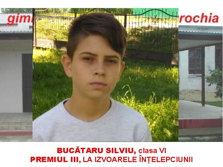 BUCĂTARU SILVIU, clasa VI PREMIUL III, LA IZVOARELE ÎNȚELEPCIUNII 