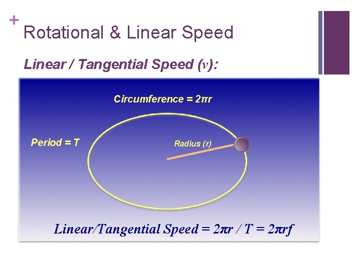 + Rotational & Linear Speed Linear / Tangential Speed (v): Circumference = 2πr Period
