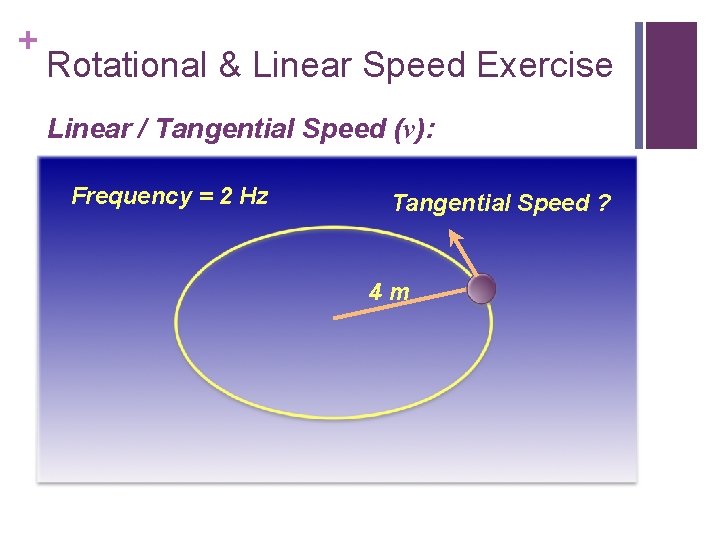 + Rotational & Linear Speed Exercise Linear / Tangential Speed (v): Frequency = 2