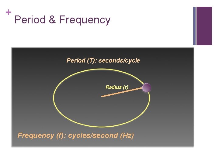 + Period & Frequency Period (T): seconds/cycle Radius (r) Frequency (f): cycles/second (Hz) 