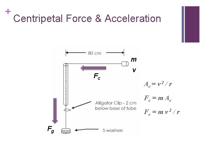 + Centripetal Force & Acceleration m Fc v Ac = v 2 / r