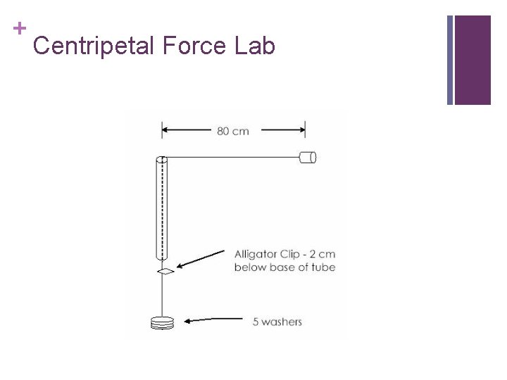 + Centripetal Force Lab 