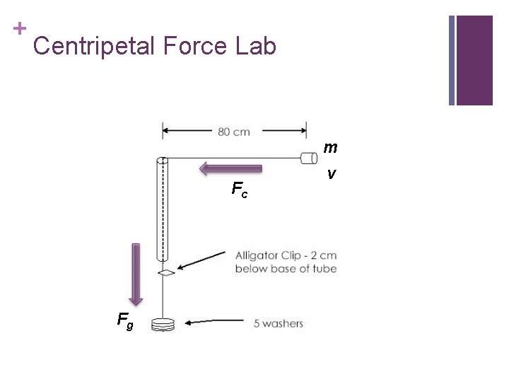 + Centripetal Force Lab m Fc Fg v 