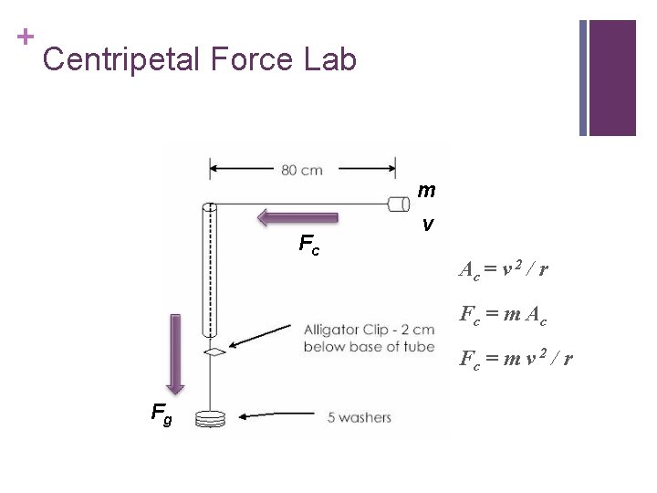 + Centripetal Force Lab m Fc v Ac = v 2 / r Fc