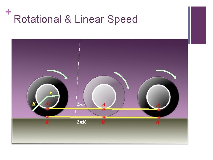 + Rotational & Linear Speed r R A 2πr A A B 2πR B