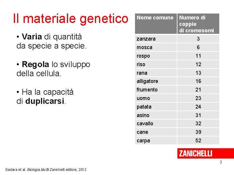 Il materiale genetico • Varia di quantità da specie. • Regola lo sviluppo della