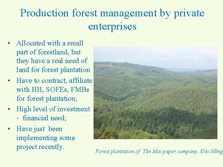 Production forest management by private enterprises • Allocated with a small part of forestland,