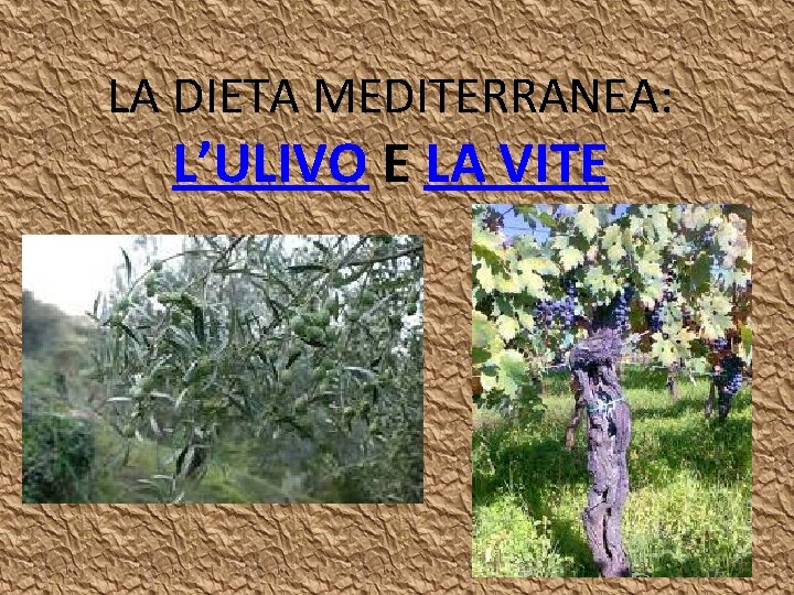 LA DIETA MEDITERRANEA: L’ULIVO E LA VITE 