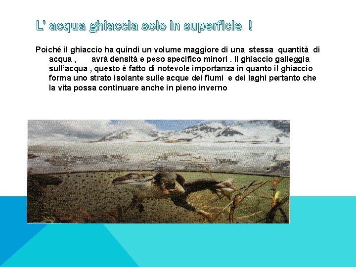 L’ acqua ghiaccia solo in superficie ! Poiché il ghiaccio ha quindi un volume