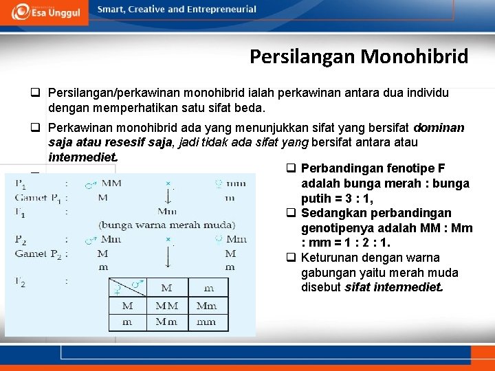 Persilangan Monohibrid q Persilangan/perkawinan monohibrid ialah perkawinan antara dua individu dengan memperhatikan satu sifat