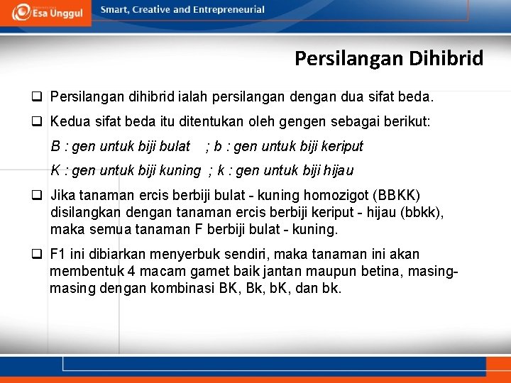 Persilangan Dihibrid q Persilangan dihibrid ialah persilangan dengan dua sifat beda. q Kedua sifat