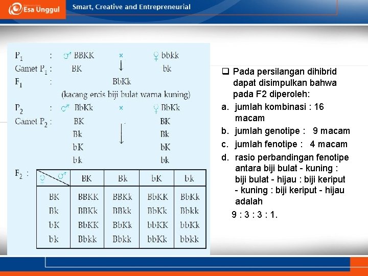 q Pada persilangan dihibrid dapat disimpulkan bahwa pada F 2 diperoleh: a. jumlah kombinasi