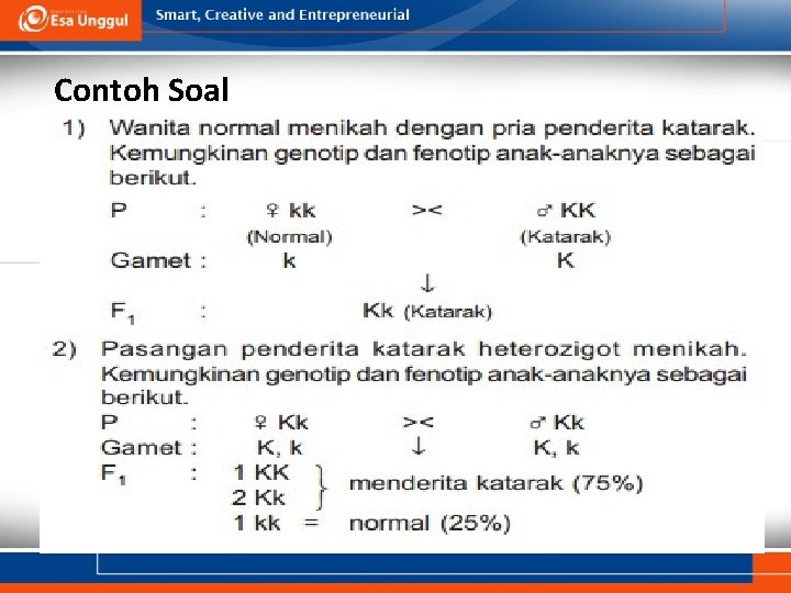 Contoh Soal 