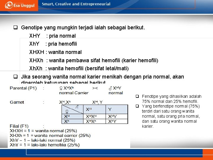 q Genotipe yang mungkin terjadi ialah sebagai berikut. XHY : pria normal Xh. Y