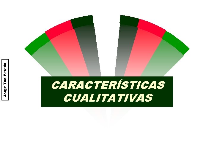 Jorge Tua Pereda CARACTERÍSTICAS CUALITATIVAS 