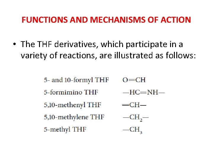 FUNCTIONS AND MECHANISMS OF ACTION • The THF derivatives, which participate in a variety FUNCTIONS AND MECHANISMS OF ACTION • The THF derivatives, which participate in a variety