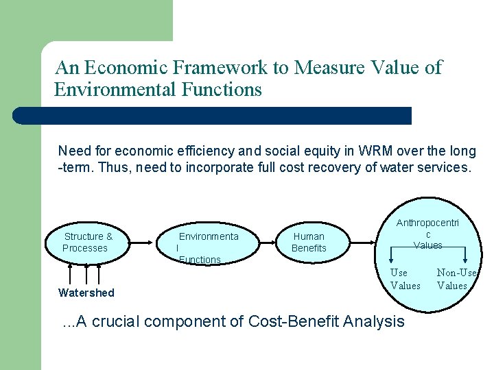 An Economic Framework to Measure Value of Environmental Functions Need for economic efficiency and