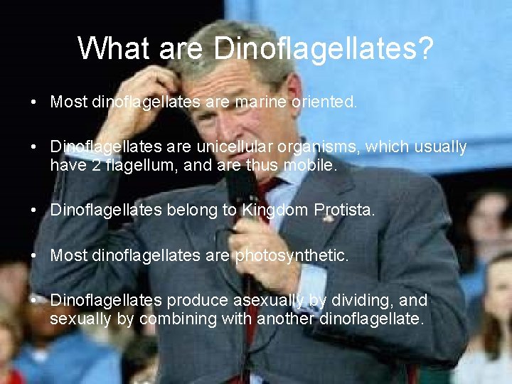 What are Dinoflagellates? • Most dinoflagellates are marine oriented. • Dinoflagellates are unicellular organisms,