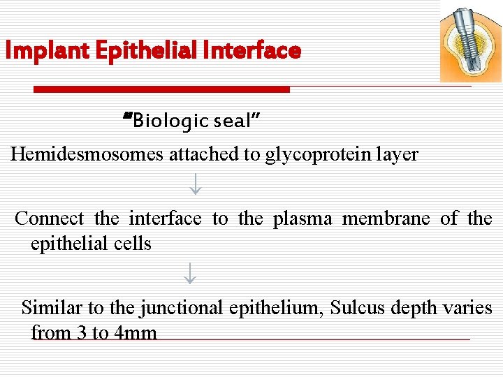 Implant Epithelial Interface “Biologic seal” Hemidesmosomes attached to glycoprotein layer Connect the interface to