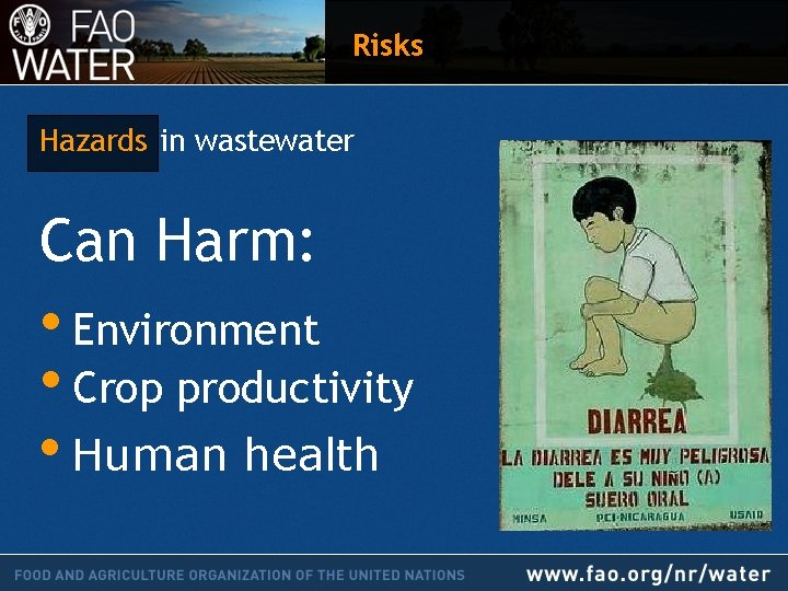 Risks Hazards in wastewater Can Harm: • Environment • Crop productivity • Human health