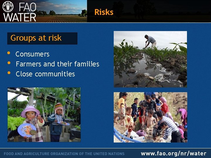 Risks Groups at risk • • • Consumers Farmers and their families Close communities