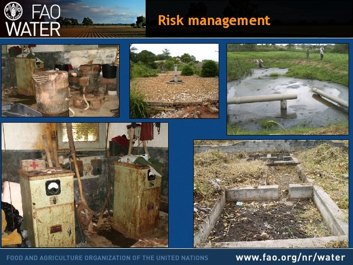 Risk management 