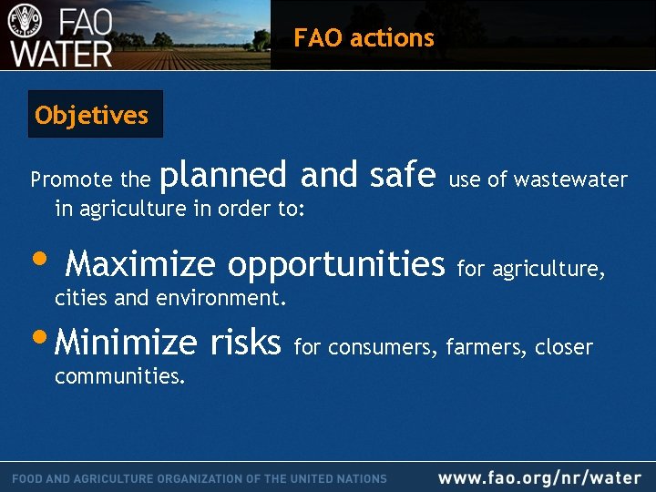 FAO actions Objetives planned and safe Promote the in agriculture in order to: •
