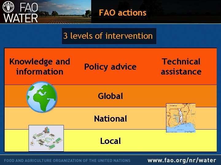 FAO actions 3 levels of intervention Knowledge and information Policy advice Technical assistance Global