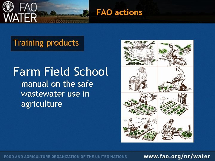 FAO actions Training products Farm Field School manual on the safe wastewater use in