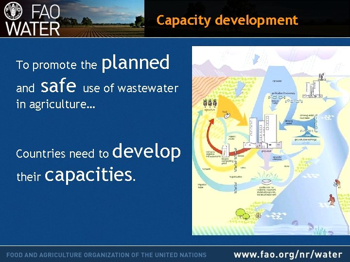 Capacity development To promote the planned safe and use of wastewater in agriculture… develop