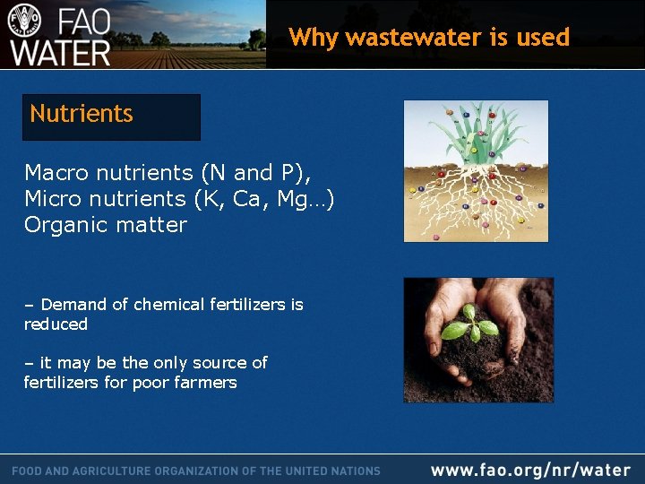 Why wastewater is used Nutrients Macro nutrients (N and P), Micro nutrients (K, Ca,