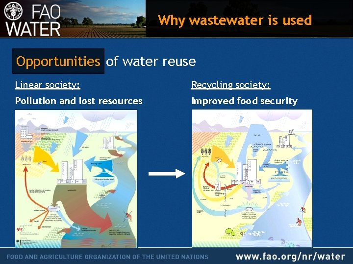 Why wastewater is used Opportunities of water reuse Linear society: Recycling society: Pollution and