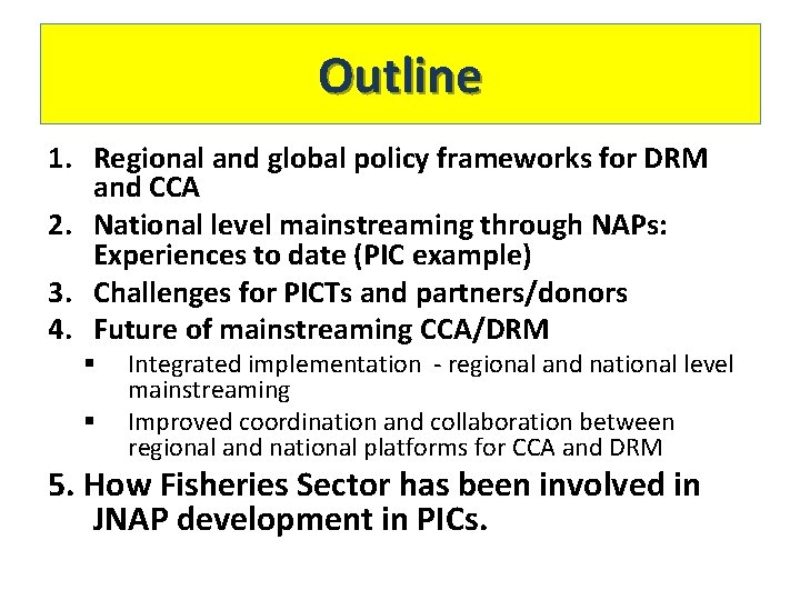 Outline 1. Regional and global policy frameworks for DRM and CCA 2. National level